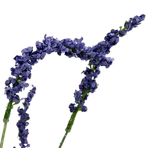 Floristik24 Buisson de lavande 55cm bleu