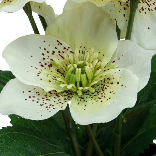 Article Rose de Carême Hellébore Rose de Noël pot fleurs artificielles H25cm blanc