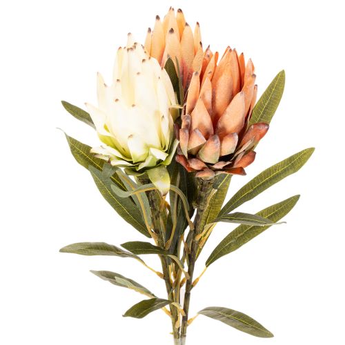 Fleur artificielle de Protea Leucadendron à longue tige, 65 cm, lot de 3 acheter | Floristik24.be