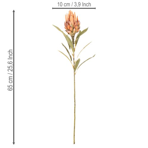 Fleur artificielle de Protea Leucadendron à longue tige, 65 cm, lot de 3 | Floristik24.be