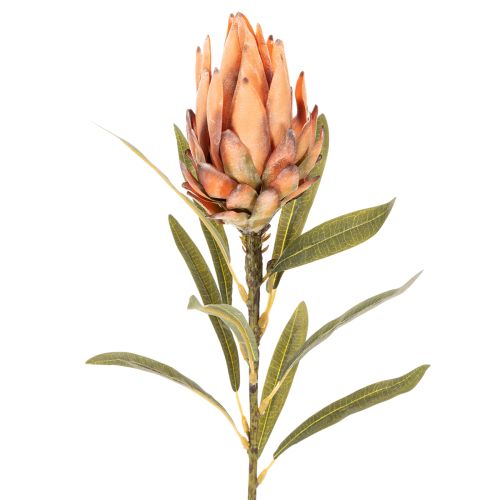 Fleur artificielle de Protea Leucadendron à longue tige, 65 cm, lot de 3 | Floristik24.be