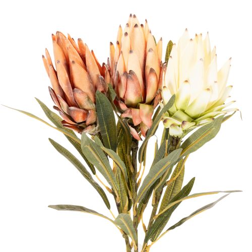 Fleur artificielle de Protea Leucadendron à longue tige, 65 cm, lot de 3 | Floristik24.be