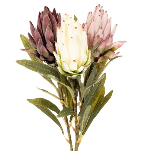 Protea artificielle Leucadendron 100 cm, lot de 3 acheter | Floristik24.be