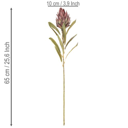 Protea artificielle Leucadendron 100 cm, lot de 3 | Floristik24.be