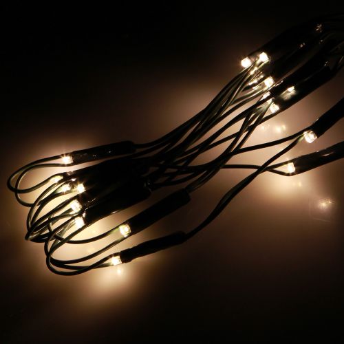 Floristik24 Filet lumineux d&#39;extérieur pour buis, guirlande lumineuse avec 60 LED, Ø35cm