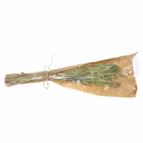Floristik24 Fléole des prés nature 50-60cm 100g