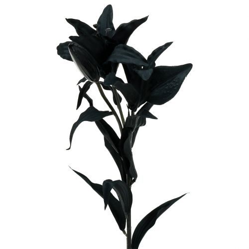 Floristik24 Fleur artificielle Lys noir 84cm