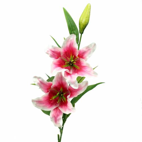 Floristik24 Lys Oriental "Stargazer" Blanc, Rose 86cm
