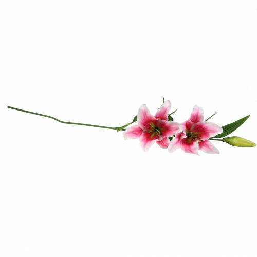 Floristik24 Lys Oriental "Stargazer" Blanc, Rose 86cm