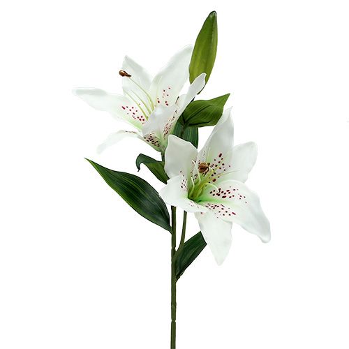 Floristik24 Lys Blanc 66cm