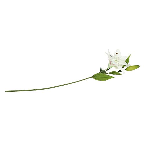 Floristik24 Lys Blanc 66cm