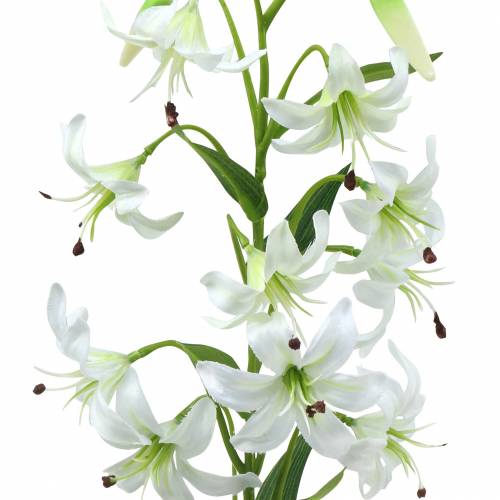 Floristik24 Lily Blanc 82cm
