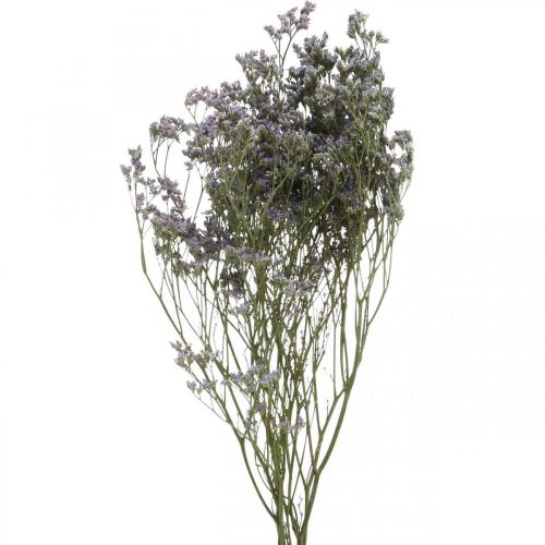 Floristik24 Fleurs séchées, Lavande de mer, Statice Tatarica, Lavande de mer, Limonium Violet L45–50cm 30g