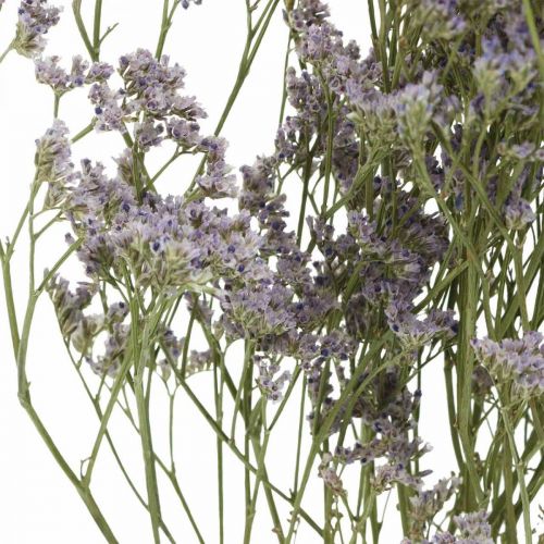 Article Fleurs séchées, Lavande de mer, Statice Tatarica, Lavande de mer, Limonium Violet L45–50cm 30g