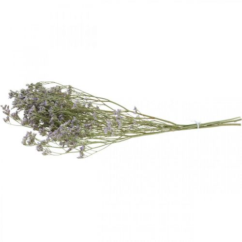 Floristik24 Fleurs séchées, Lavande de mer, Statice Tatarica, Lavande de mer, Limonium Violet L45–50cm 30g