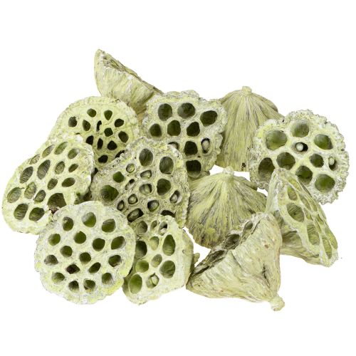Article Flasque Lotus mix vert lavé Ø6cm - 10cm 50 pcs
