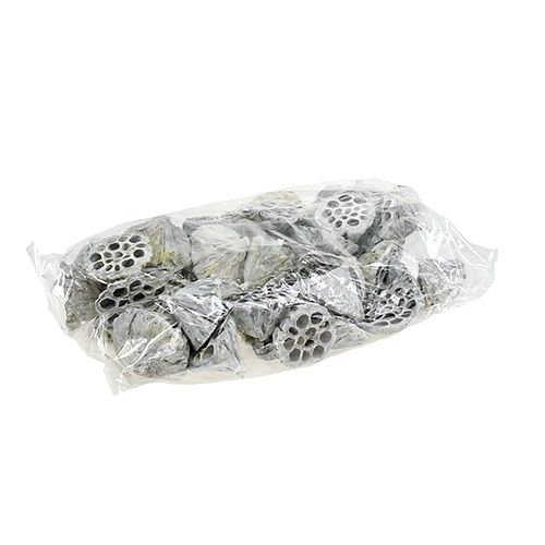 Article Lotus Natural Deco Ampoule Lotus Blanc Lavé 6-8cm 50 pcs