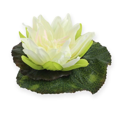 Floristik24 Fleur de lotus flottante 18cm blanc 3pcs