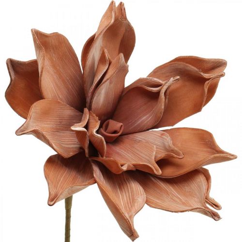 Floristik24 Fleur de Lotus Plante Artificielle Fleur de Lotus Artificielle Marron L64cm