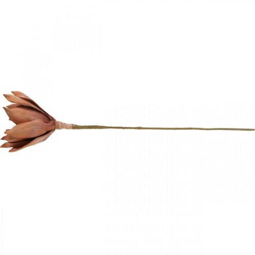 Floristik24 Fleur de Lotus Plante Artificielle Fleur de Lotus Artificielle Marron L64cm