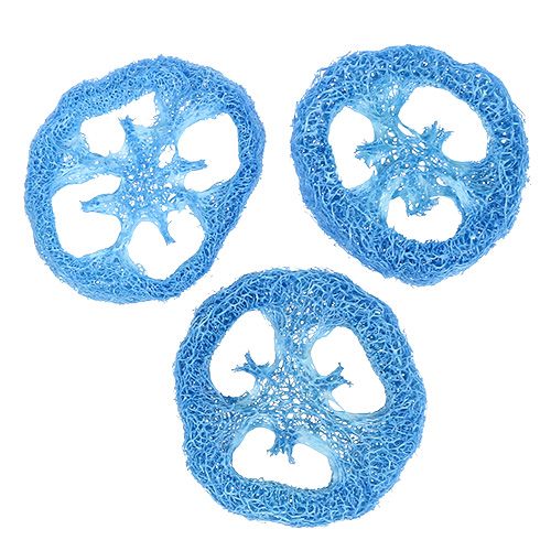 Floristik24 Disques de luffa bleu ciel 25 pcs