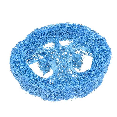 Floristik24 Tranches de luffa bleu ciel Loofah 25 p.