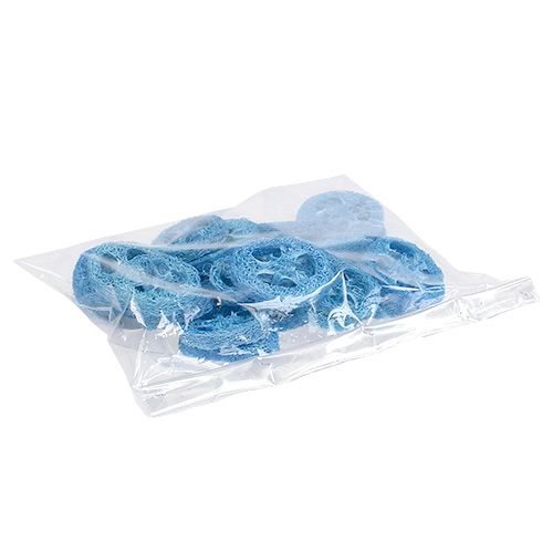 Floristik24 Tranches de luffa bleu ciel Loofah 25 p.