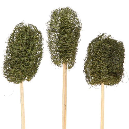 Floristik24 Luffa petit sur un bâton éponge concombre vert foncé 5-7 cm 25 pcs