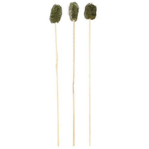 Floristik24 Luffa petit sur un bâton éponge concombre vert foncé 5-7 cm 25 pcs
