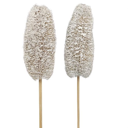 Floristik24 Luffa petit sur bâton lavé blanc 25pcs