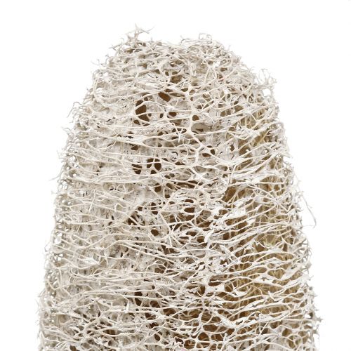Article Luffa petit sur bâton blanchi à la chaux 25 pcs