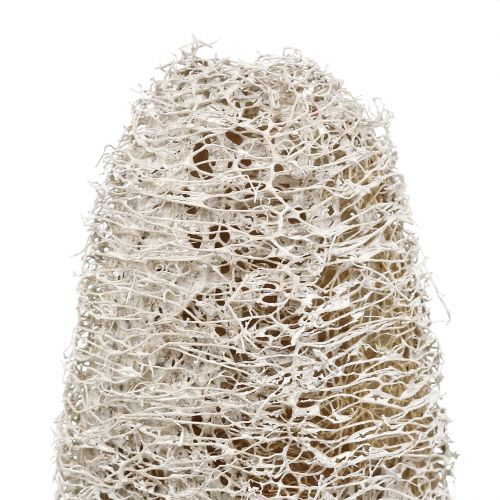 Article Luffa petit sur bâton lavé blanc 25pcs