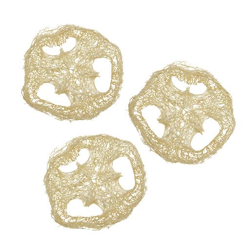 Floristik24 Disques Luffa blanchis Ø5cm 48 pcs