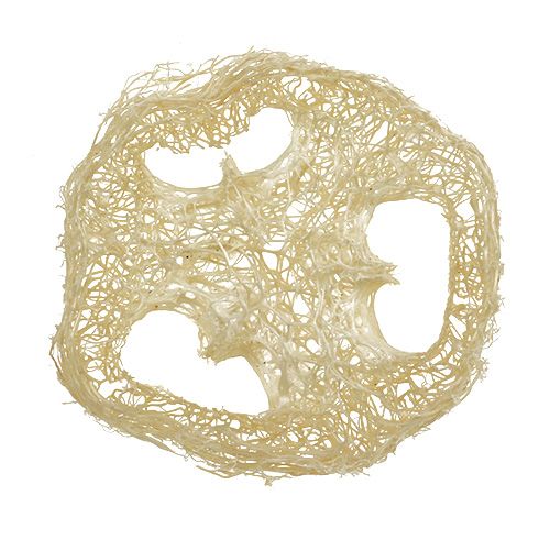 Floristik24 Disques Luffa blanchis Ø5cm 48 pcs