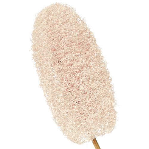 Article Petit luffa sur bâton, blanchi, 25 pièces