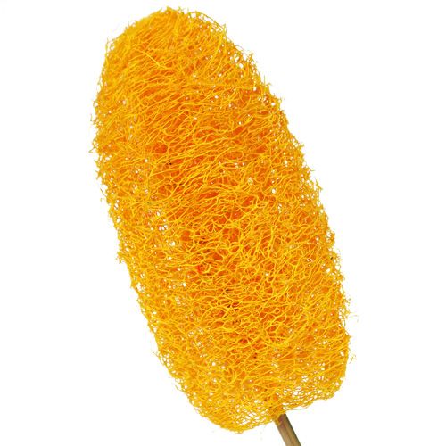 Article Petit luffa sur bâton, jaune doré, 25 pièces