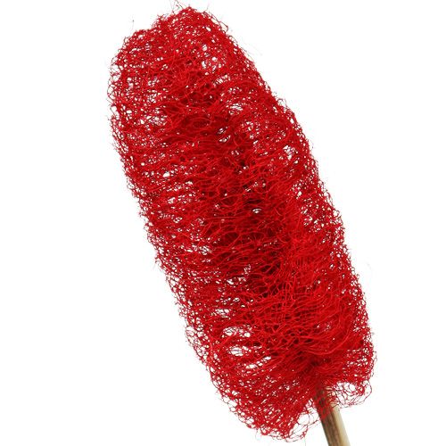 Article Luffa petit sur bâton rouge 25 pcs