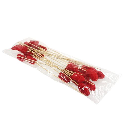 Article Luffa petit sur bâton rouge 25 pcs