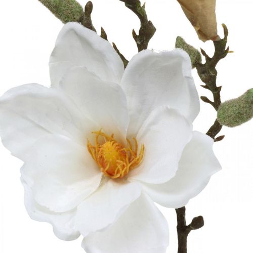 Article Fleur artificielle blanche Magnolia avec bourgeons sur branche décorative H40cm