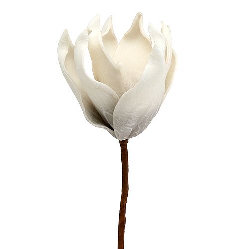 Floristik24 Fleur de magnolia en mousse blanc-gris Ø 10 cm L. 26 cm 4 p.