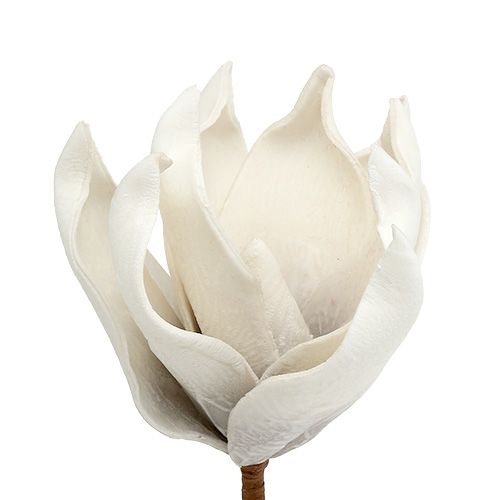 Floristik24 Fleur de magnolia en mousse blanc-gris Ø 10 cm L. 26 cm 4 p.