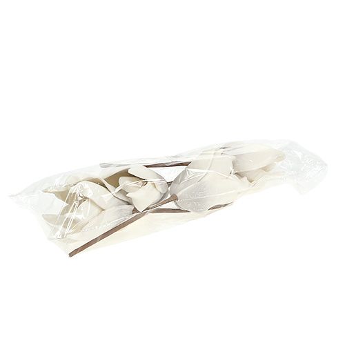 Floristik24 Fleur de magnolia en mousse blanc-gris Ø 10 cm L. 26 cm 4 p.