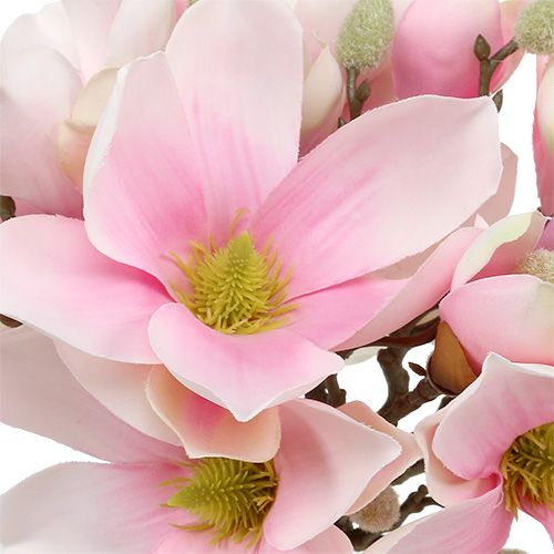Article Bouquet de magnolia rose 40cm 5pcs