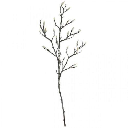 Floristik24 Branche de Magnolia Printemps Bourgeon Branche Artificielle Marron Blanc L100cm