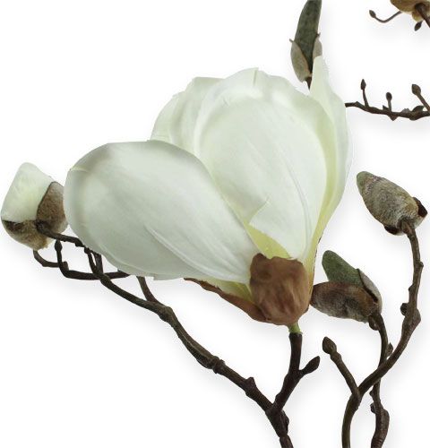 Article Branche de magnolia blanc 110cm