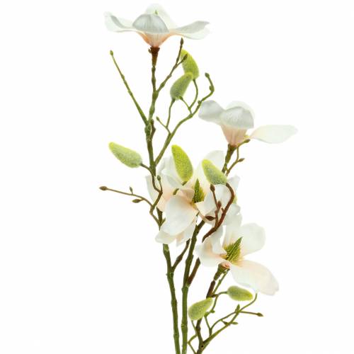 Floristik24 Pêche magnolia 85cm