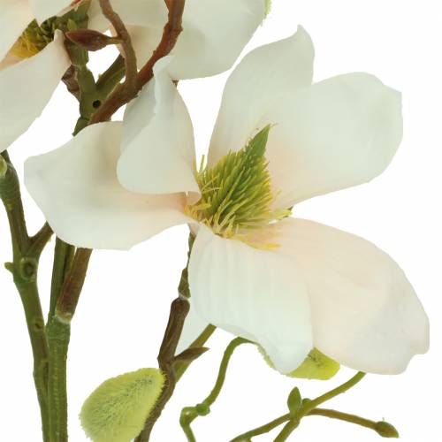 Article Pêche magnolia 85cm