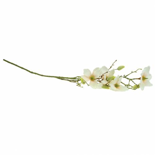Article Pêche magnolia 85cm