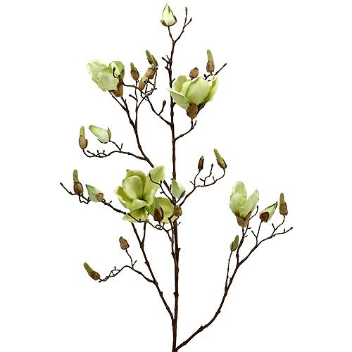 Floristik24 Branche de magnolia vert L110cm