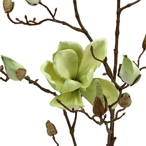 Article Branche de magnolia vert L110cm